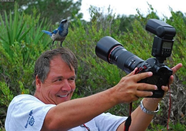 Crazy photographers who will do ANYTHING for the perfect shot